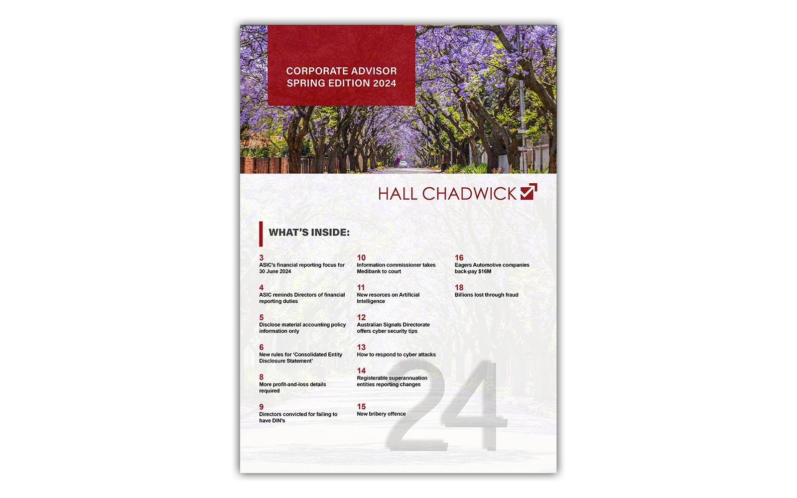 Corporate Advisory Spring 2004 Edition